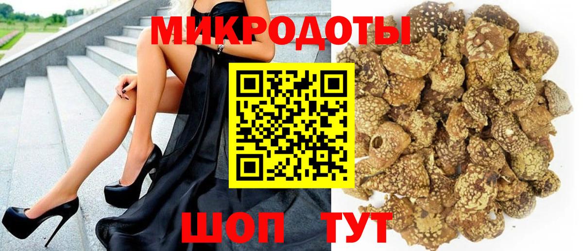 Псилоцибиновые грибы мицелий Алексин