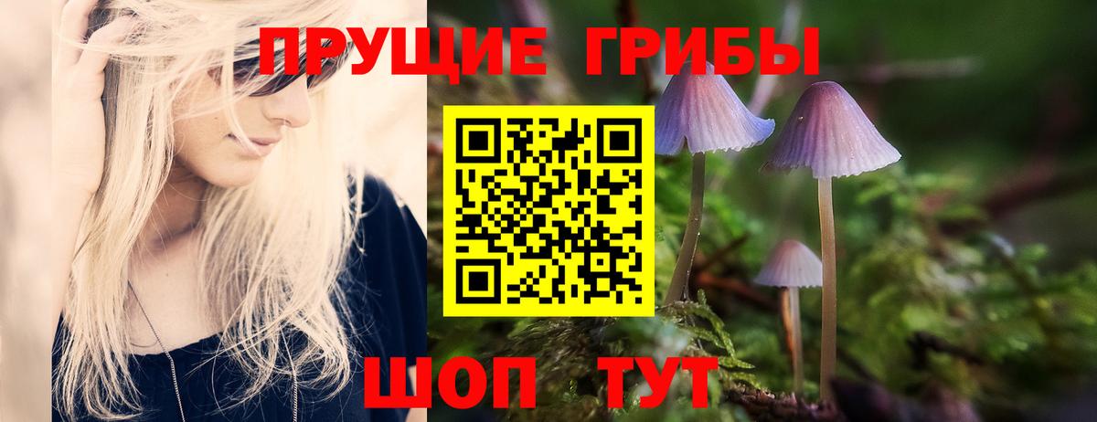 Галлюциногенные грибы Magic Shrooms  Вход с VPN  Галлюциногенные грибы Psilocybine cubensis  Алексин 
